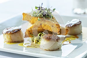 Seared scallops with cornbread