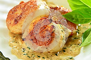 Seared scallops with creamy herb butter sauce photo