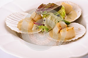 Seared scallops shell with butter and lettuce