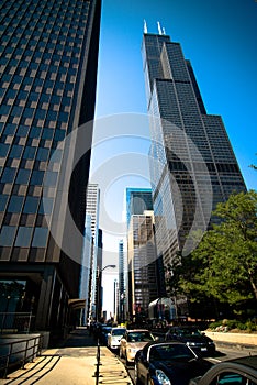 Sears Tower at Chicago