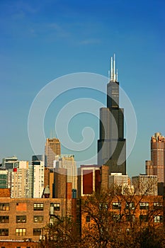 Sears tower from east on blue photo