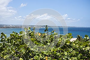 Seascape and Arecibo on Horizon photo