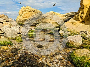 Seascape background with rocks in the summer season