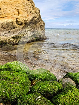Seascape background with rocks in the summer season
