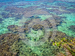 Seascape of the blue turquoise clear tropical ocean water and reef. Roatan island, Honduras.