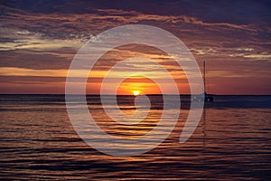 Seascape. Boat on sea. Sailboats at sunset. Ocean yacht sailing along water.