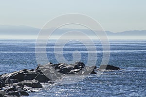 Seascape at Cabrillo Beach