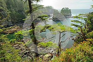 Seascape in cape flattery