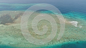 Seascape coral reef in sea