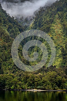 Seascape in Doubtful Sound Fiord, New Zealand, green costline and reflection in a wather, cloudy weather