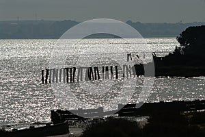 Seascape at DoÃÂ±ana