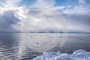 Seascape with a flock of seagulls over the water surface of the bay