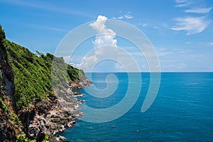 Seascape with the forest cliff and clear sky in the morning