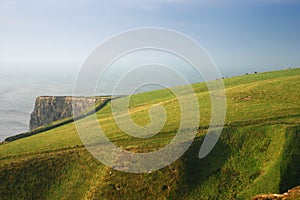 Seascape of Green img