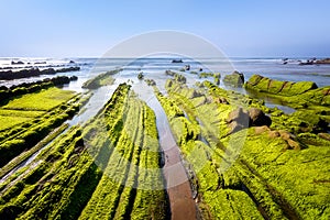 Seascape with green seaweed moss on rocks in Barrika