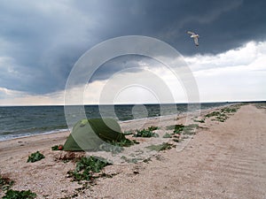 Seascape with green tent and seagull