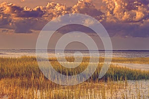 Seascape of Hilton Head Island