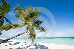 Seascape of maldives island