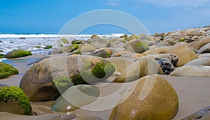 A seascape with moss covered rocks on California coast
