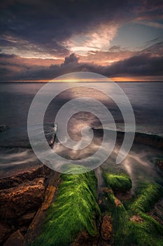 Seascape with mossy rocks under stormy sky