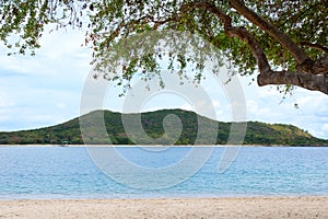 Seascape with mountain and tree. Samae San island, Thailand photo