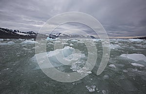 Seascape near massive monaco glacier