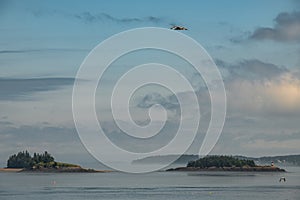 Seascape of Passamaquoddy Bay and Islands