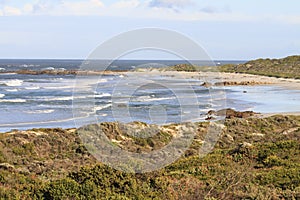 Seascape - Pearly Beach