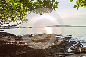 Seascape picture a rocky coast and tree with sea and island back