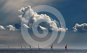 Seascape with regatta