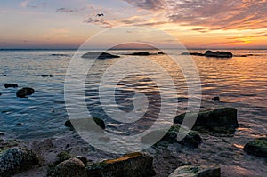 Seascape with rocks and nice sky in the summer season during the sunset