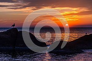 Seascape with rocks and nice sky in the summer season during the sunset