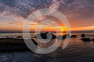 Seascape with rocks and nice sky in the summer season during the sunset