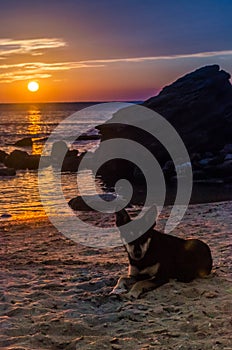 Seascape with rocks and nice sky in the summer season during the sunset