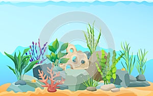 Seascape Rocks and Plants Vector Illustration
