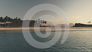 Seascape at sand beach with palm trees at sea shore aerial. Summer tourist vacation