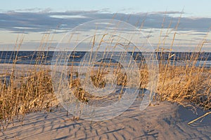 Seascape Sand, Sea Oats, Atlantic Ocean