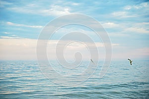 Seascape with sea horizon and blue sky. Background. Painterly seascape scene with relaxing sunset colours