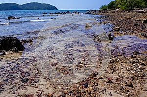 Seascape and stone on the beach in East of Thailand