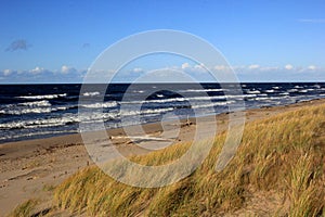 Seascape during a storm with large waves, Carnikava, Latvia