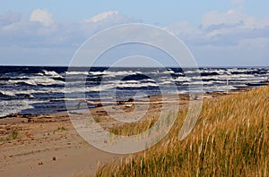 Seascape during a storm with large waves, Carnikava, Latvia