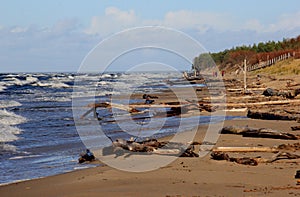 Seascape during a storm with large waves, Carnikava, Latvia