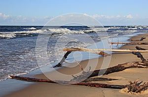 Seascape during a storm with large waves, Carnikava, Latvia