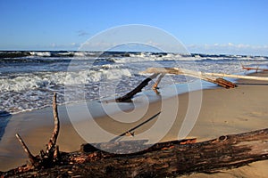 Seascape during a storm with large waves, Carnikava, Latvia