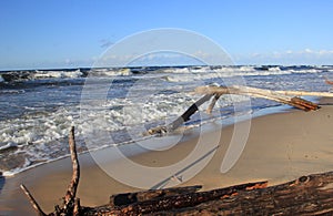 Seascape during a storm with large waves, Carnikava, Latvia