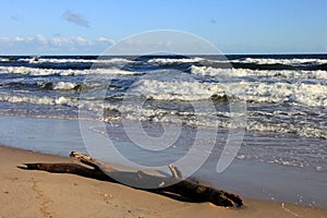 Seascape during a storm with large waves, Carnikava, Latvia