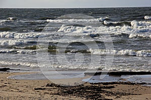 Seascape during a storm with large waves, Carnikava, Latvia