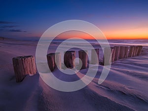 Seascape during sunrise. Logs in the sand. Bright sky during sunset. A sandy beach at low tide.