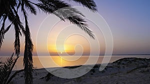 Seascape with sunrise, sandy beach and palm tree, timelapse.