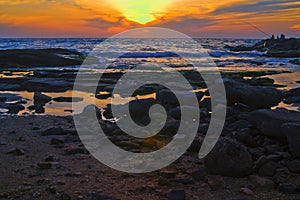 Seascape of sunset at the beach of Givat Olga Hadera Israel